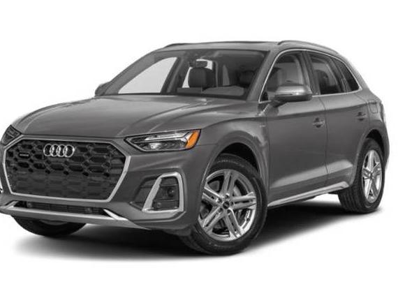 AUDI Q5 E 2024 WA1G2AFYXR2082200 image